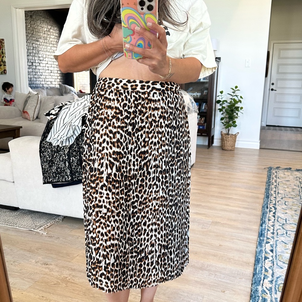 Express Skirt